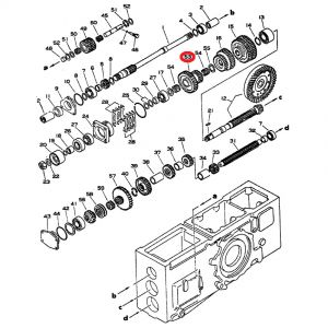 Gears - Transmission