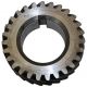 261217R1U Crankshaft Gear, MD