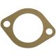 350899R1 Steering Shaft Gasket