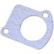 351677R1 Pump Gasket