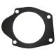 352439R2 Gasket, Hyd Pump