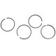 366910SGL Piston Ring Set, H