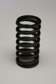 367192R1 Valve Spring