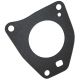 367669R2 Gasket, Gov Housing