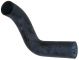 378704R1 Hose, Lower Radiator