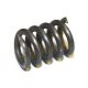 382666R1 Spring, Valve