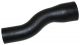 402191R1 Hose, Radiator