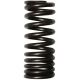 406723R1 Valve Spring