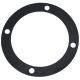 52951D Gasket, Bearing Cage