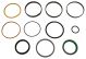 63581C91 Seal Kit, Hyd Cylinder