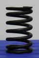 682064C1 Valve Spring