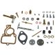 R7528 Carb Kit, Comprehensive 154